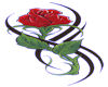 rose 2