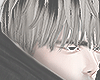 Nogae mix