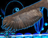 ~K~ Eagle arm wings