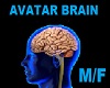 Brain *M/F Avatars