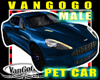 VG Blue LUXURY Car Avi M