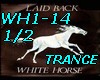 WH1-14-White horse-P1