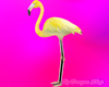 Flamingo Yellow
