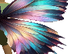 pastel wings