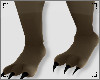 e Wolf Feet