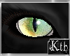 Kth Cat Eyes Bgg