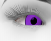 ZK| Hallows Purple