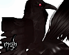 Raven The Crow