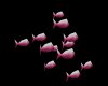 Fish  white \ pink
