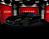 Jaguar Car BB