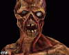 Zombie Cosplay Halloween