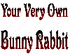 [Cycl0n3]BunnyRabbit