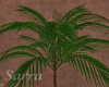 Decorative palm 2