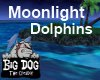 [BD] Moonlight Dolphins