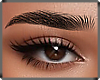 - BROWS T 04 $