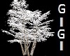 GM Snowy Tree
