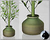 !Bamboo Green Pot