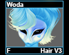 Woda Hair F V3