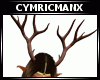 Cym Forest Spirit  F