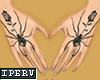 lPl Tatto Spider + Rose