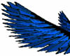 blue spikey wings
