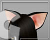Tux Cat Ears