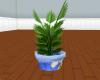 Mothers Day Potted Plant