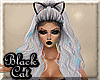 ¢| Black Cat Bundle