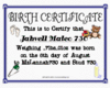 Javell birth cert
