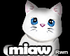 White Kitten