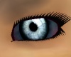 eyez~black vamp