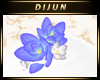 D.H. Blue Lotus