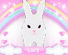 ✧.° pet bunny