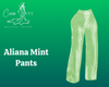 Aliana Mint Pants