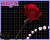 xnyx Rose for u
