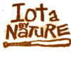 Iota By Nature Tank