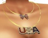 USA necklace