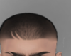 Tygre Hair
