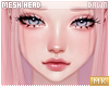 é. Mina Head . O1