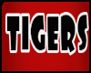 Tigers B-Ball CheerLeade
