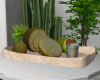 Beach Pineapple On Tray