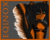 Orange Skunk Skin (F)