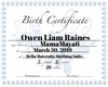 Custom HH Birth Cert