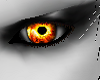 Z Fire Element M/F Eyes