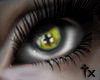 -tx- Zombie Eye