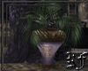 The King's Vase 2