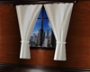 Silk Curtain/Windows