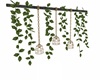 [00]LAR Ivy Lamps