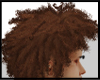 Big AFRO Brown Haiir