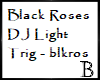 Black Rose DJ Trig Light